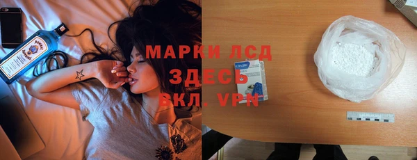гашик Арсеньев