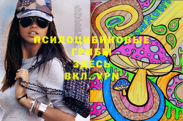 стафф Армянск