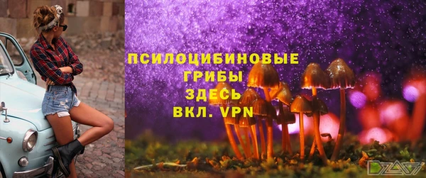 кокс Аркадак