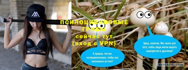 ALPHA-PVP Пестово
