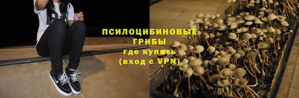 стафф Армянск