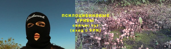 кокс Аркадак