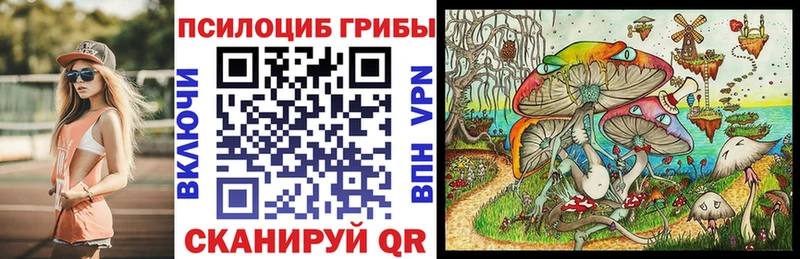 Галлюциногенные грибы Cubensis наркошоп Пролетарск